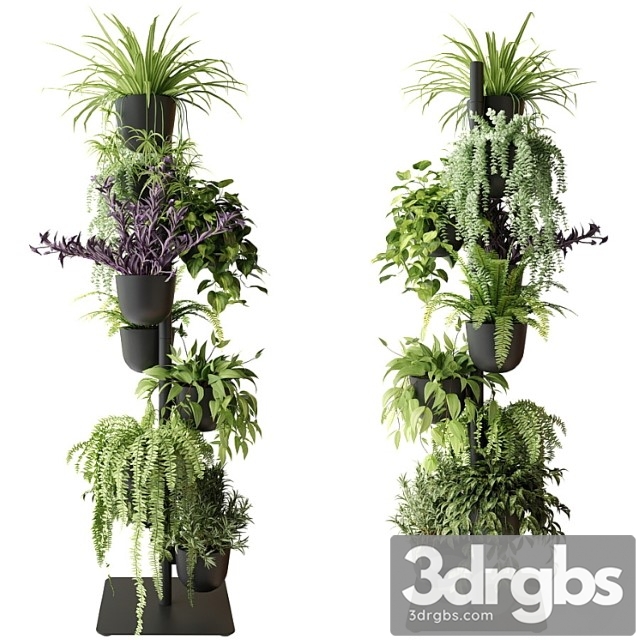 Rack with indoor plants in pots - thumbnail 1