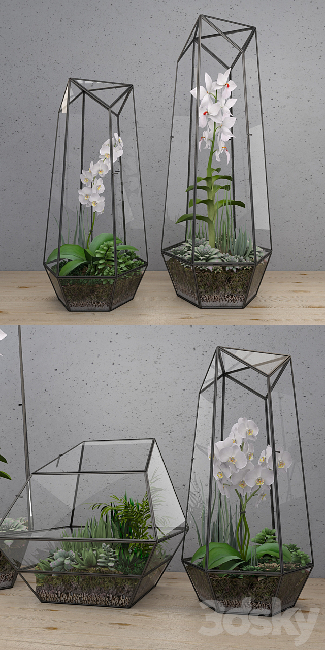 RH FACETED GLASS TERRARIUM 3DS Max Model - thumbnail 2