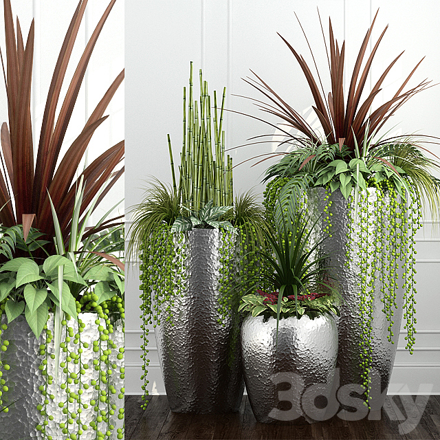 Room plants 12 3DSMax File - thumbnail 1