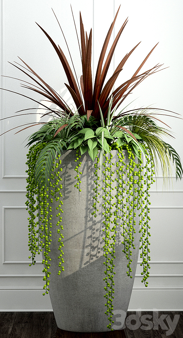 Room plants 12 3DSMax File - thumbnail 3