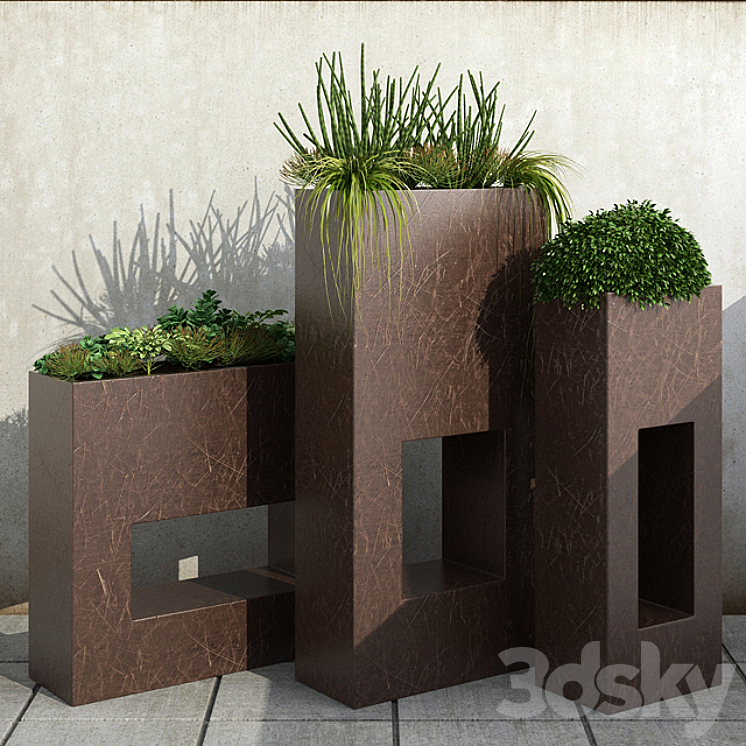 Room plants 13 3DS Max - thumbnail 1