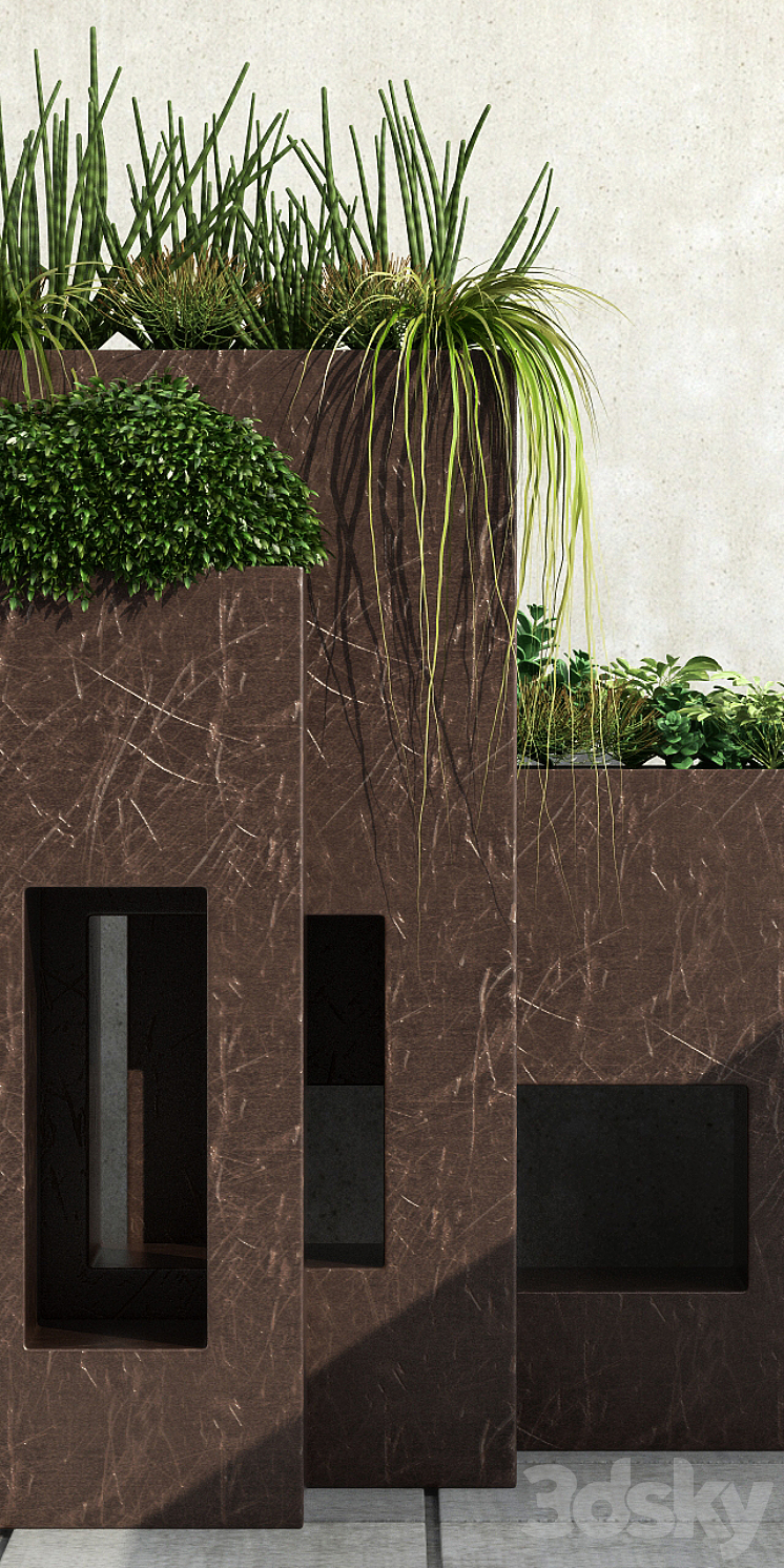 Room plants 13 3DS Max - thumbnail 2