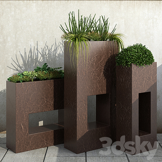 Room plants 13 3DSMax File - thumbnail 1