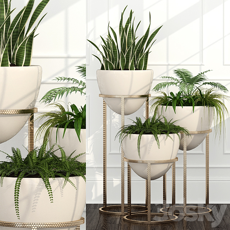 Room plants 14 3DS Max - thumbnail 1