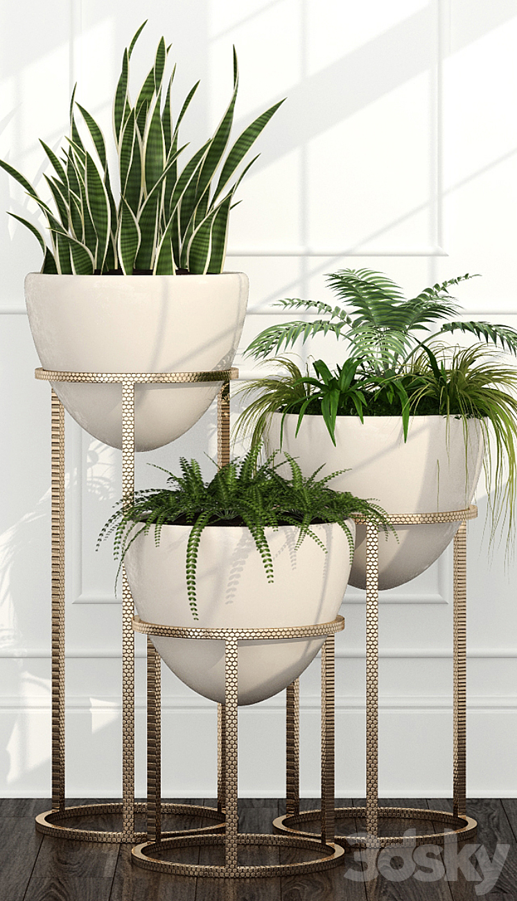 Room plants 14 3DS Max - thumbnail 2