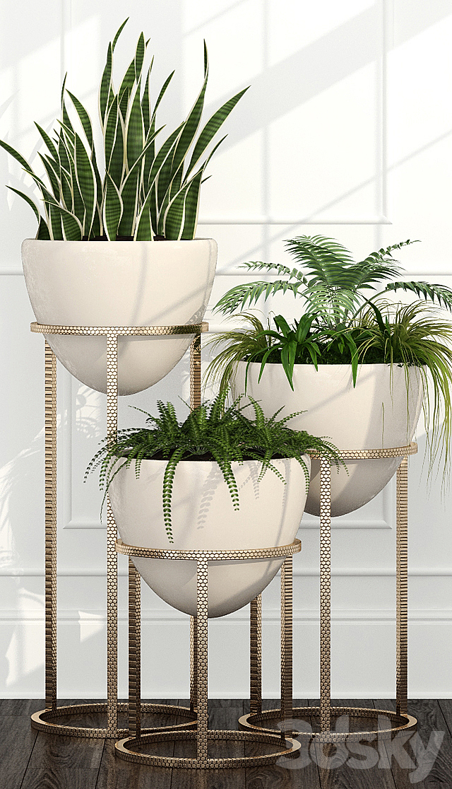 Room plants 14 3DSMax File - thumbnail 2