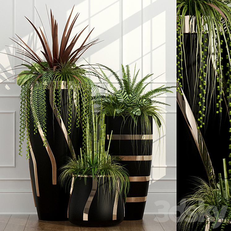 Room plants 15 3DS Max - thumbnail 1