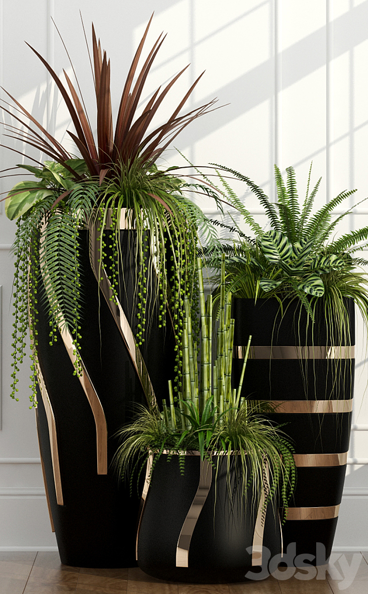 Room plants 15 3DS Max - thumbnail 2