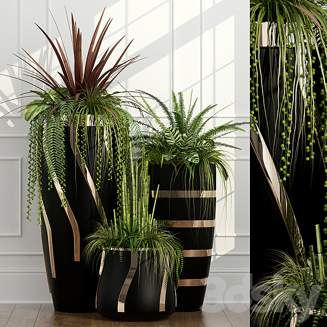 Room plants 15 3DSMax File - thumbnail 1