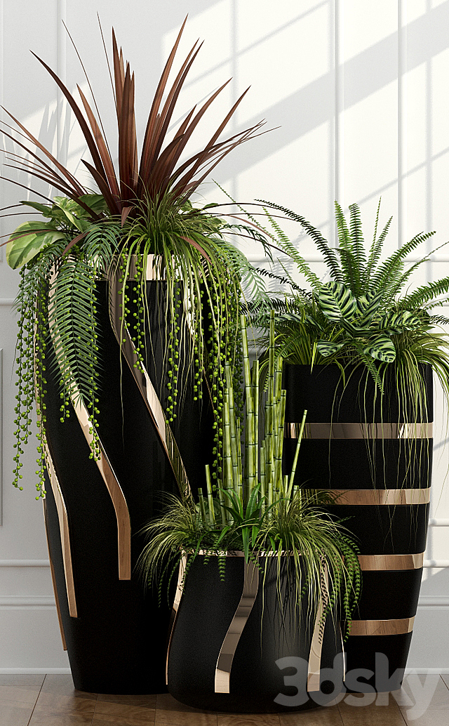 Room plants 15 3DSMax File - thumbnail 2