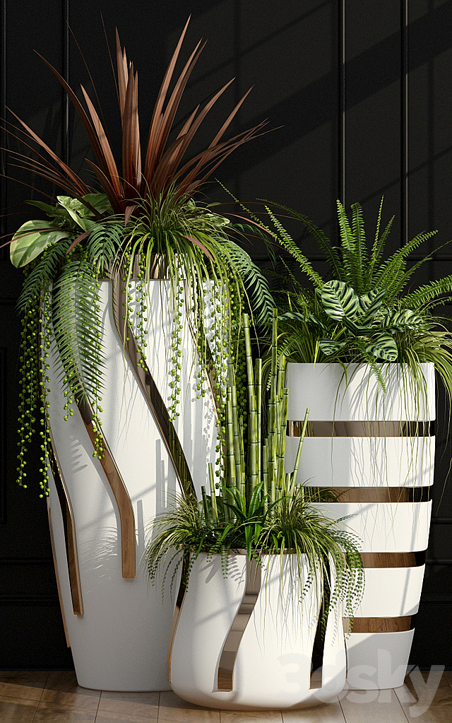 Room plants 15 3DSMax File - thumbnail 3