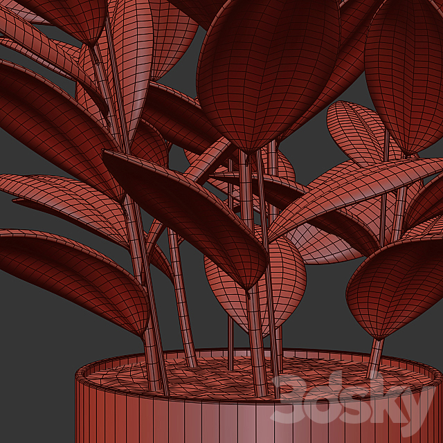 Rubber plant 3DS Max Model - thumbnail 5