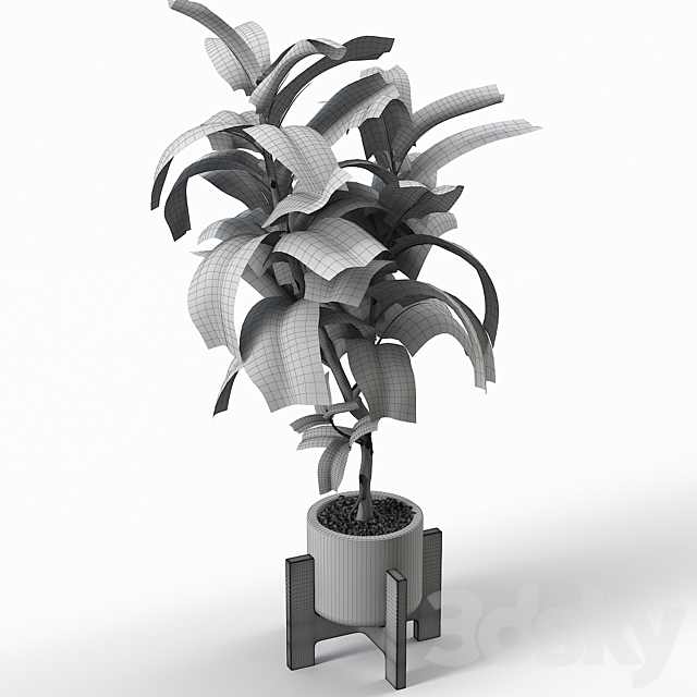 Rubber Tree 004 3DSMax File - thumbnail 2