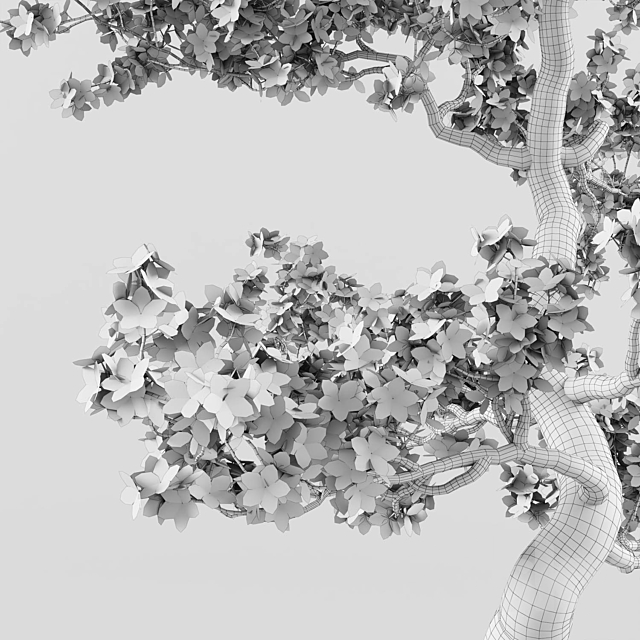 Sakura Bonsai Tree 02 3DSMax File - thumbnail 5