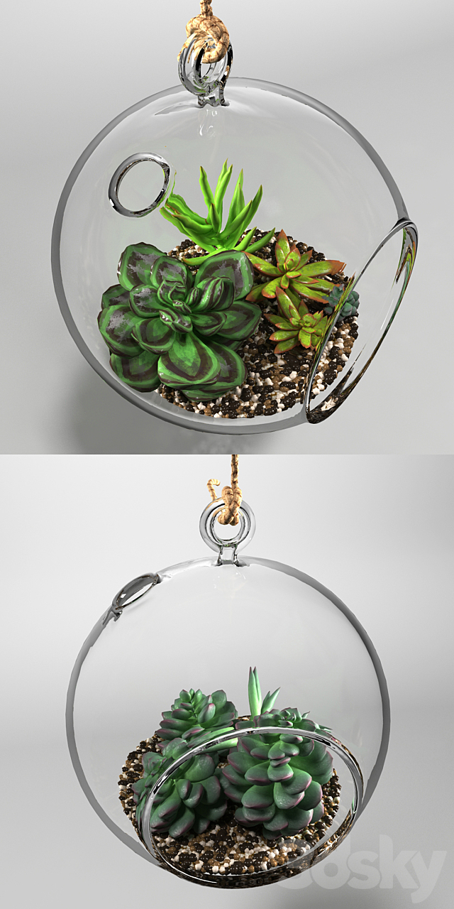 Sedum in a glass bowl 3DS Max Model - thumbnail 2