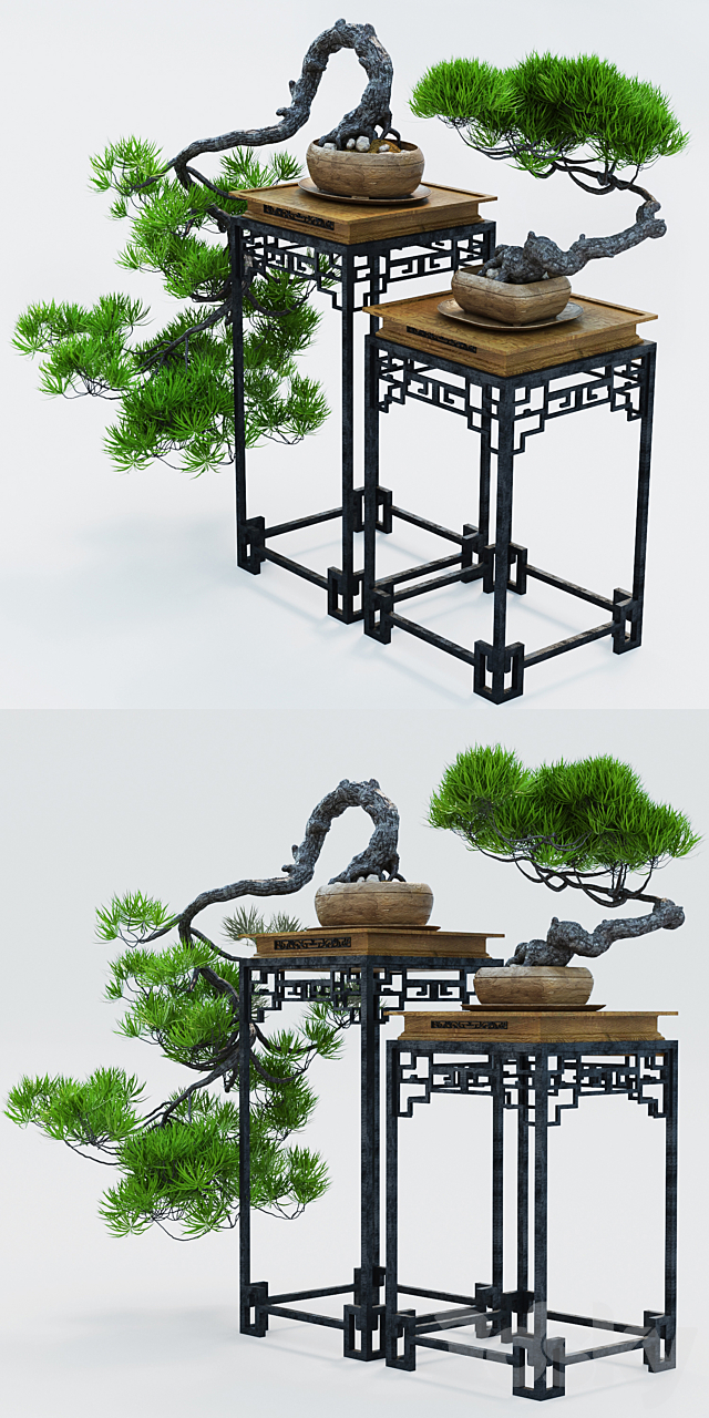 Semi bonsai 3DS Max Model - thumbnail 2