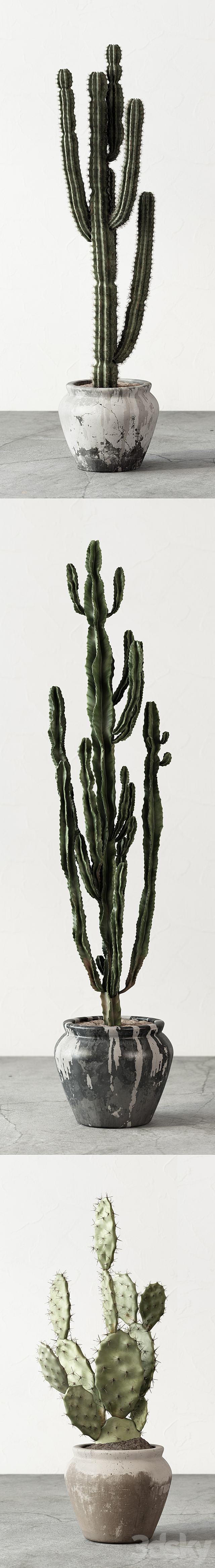 Set of Cactuses 3DSMax File - thumbnail 2