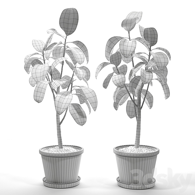 Set of plants 05 3DS Max - thumbnail 2