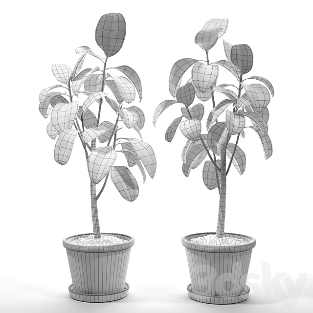 Set of plants 05 3DSMax File - thumbnail 2