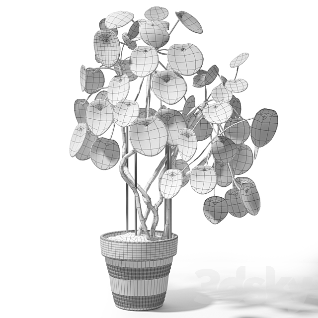 Set of plants 12 3DS Max Model - thumbnail 2