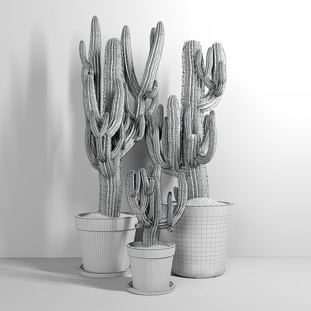 Set of Three Cactuses Carnegiea 3DS Max Model - thumbnail 2