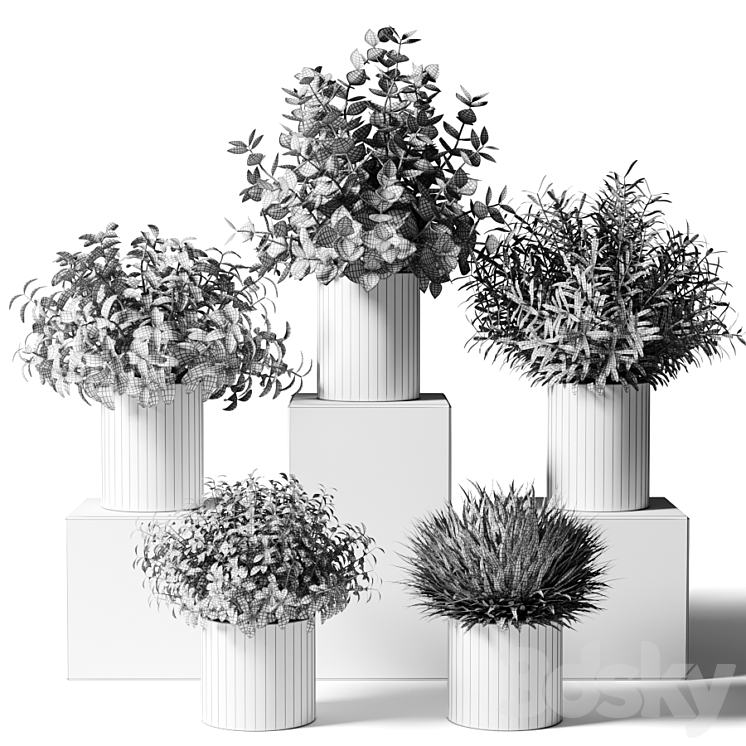 Small indoor plants in pots in the kitchen 3DS Max - thumbnail 2