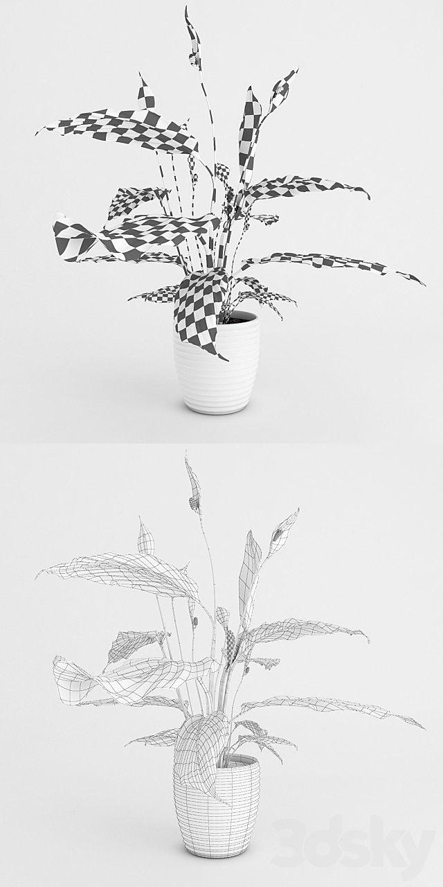 Spathiphyllum 3DSMax File - thumbnail 3