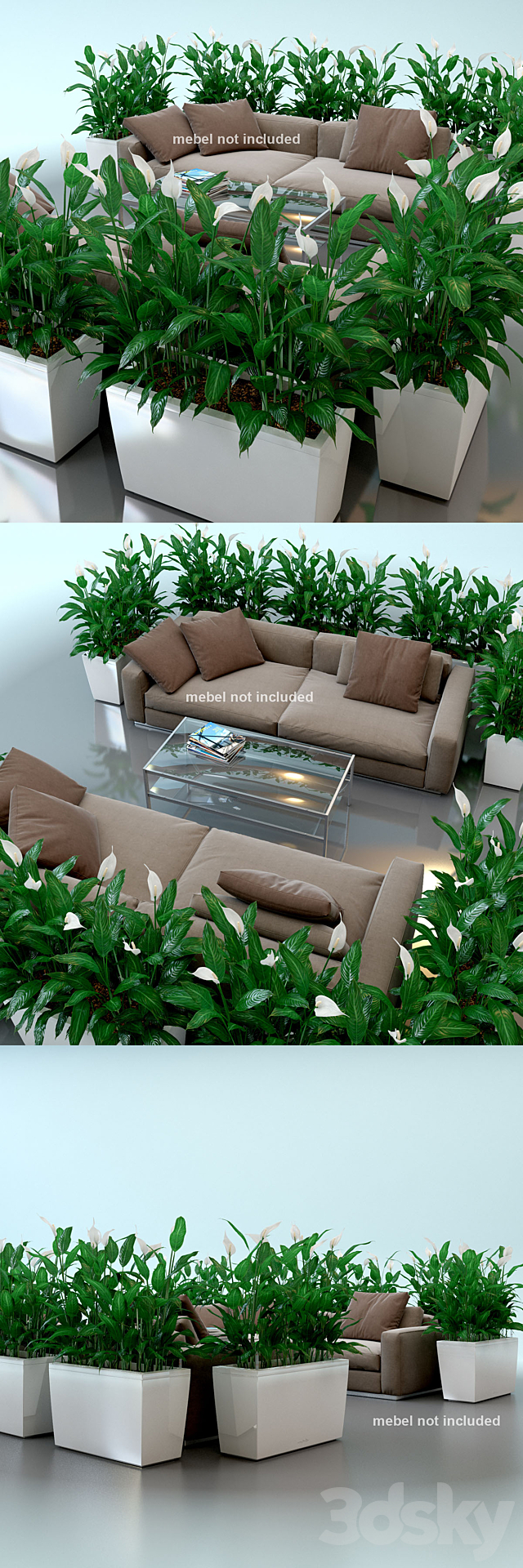 Spathiphyllum Wallis. Spathiphyllum. interior plants. Lechuza. pots. Carara. Spathiphyllum 3DSMax File - thumbnail 2