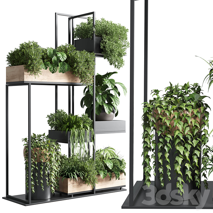 stand plant box – collection Indoor plant 217 wooden 3DS Max Model - thumbnail 1