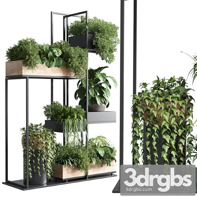 Stand plant box – collection indoor plant 217 wooden - thumbnail 1