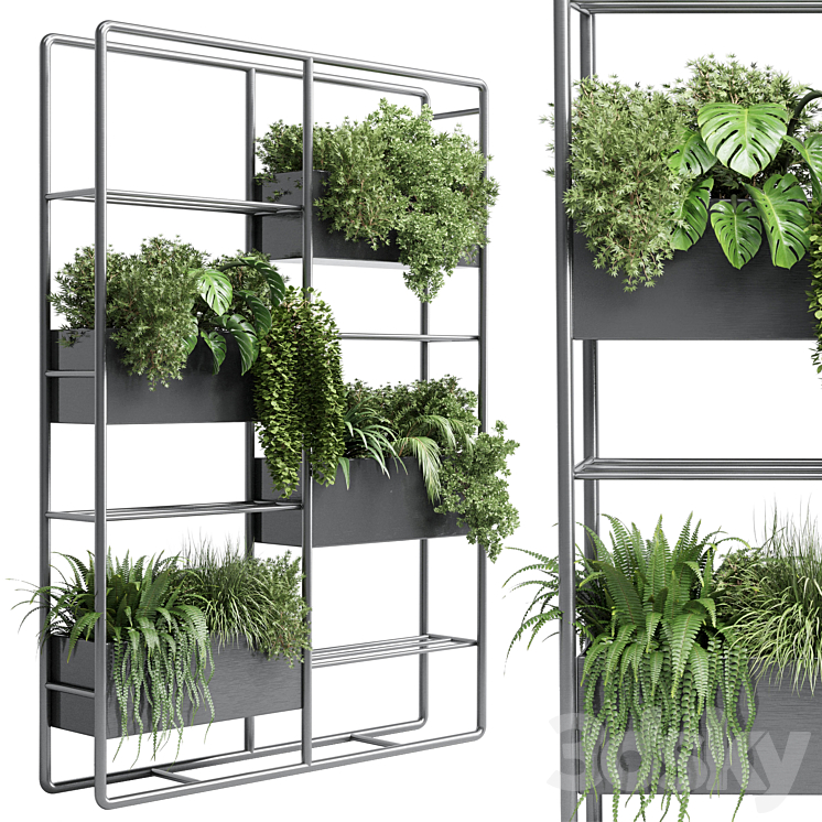 stand plant box – collection Indoor plant 254 metal vase pot fern grass 3DS Max - thumbnail 1