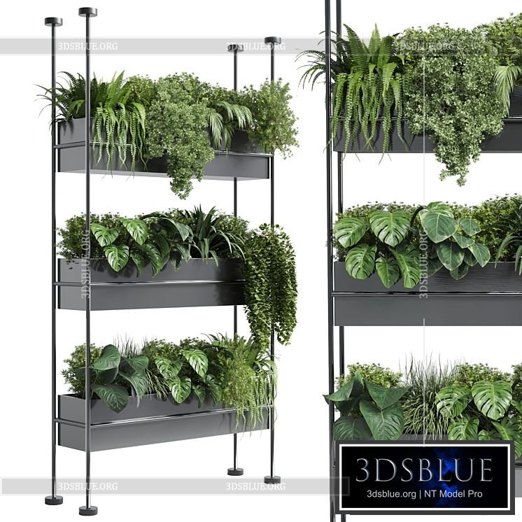 stand wall decor with shelves for the closet or showcase plants collection 179 3DS Max - thumbnail 3