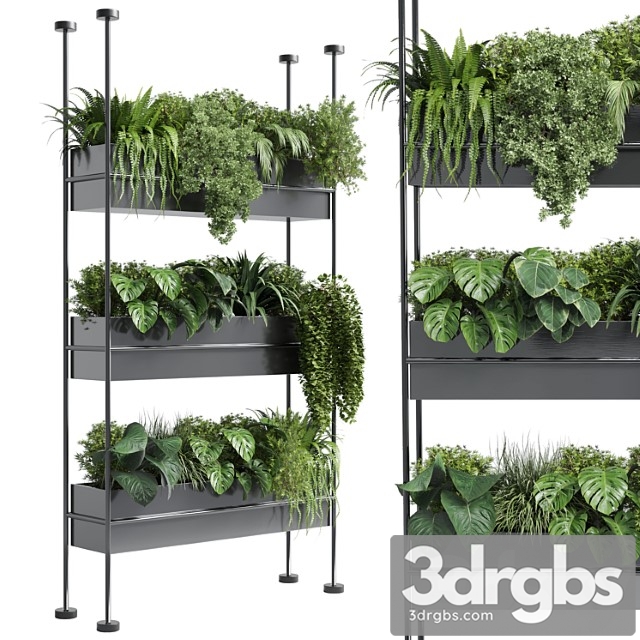 Stand wall decor with shelves for the closet or showcase plants collection 179 - thumbnail 1