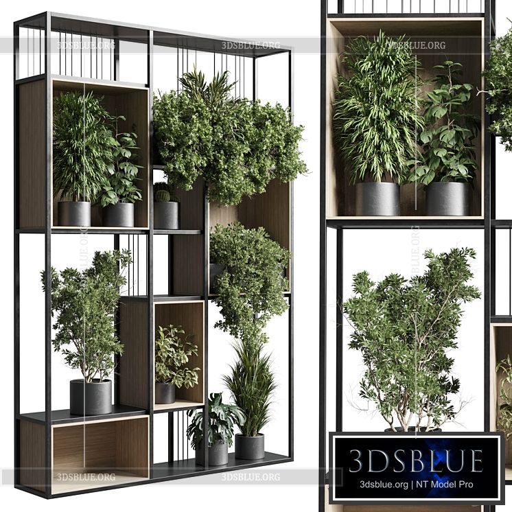 Standing metal shelf with a set 384 of plants in metal boxes corona 3DS Max - thumbnail 3