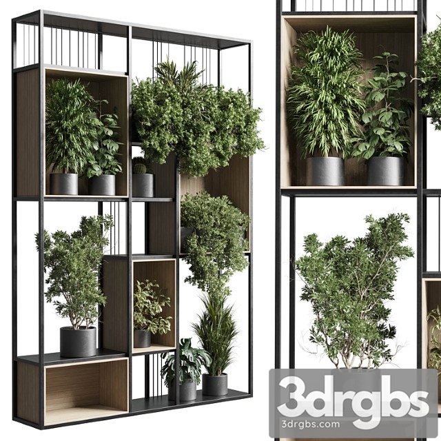 Standing metal shelf with a set 384 of plants in metal boxes corona - thumbnail 1