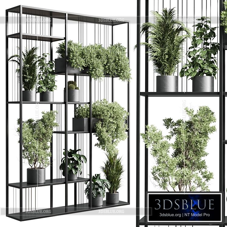 Standing metal shelf with a set of plants in concrete and metal boxes 325 3DS Max - thumbnail 3