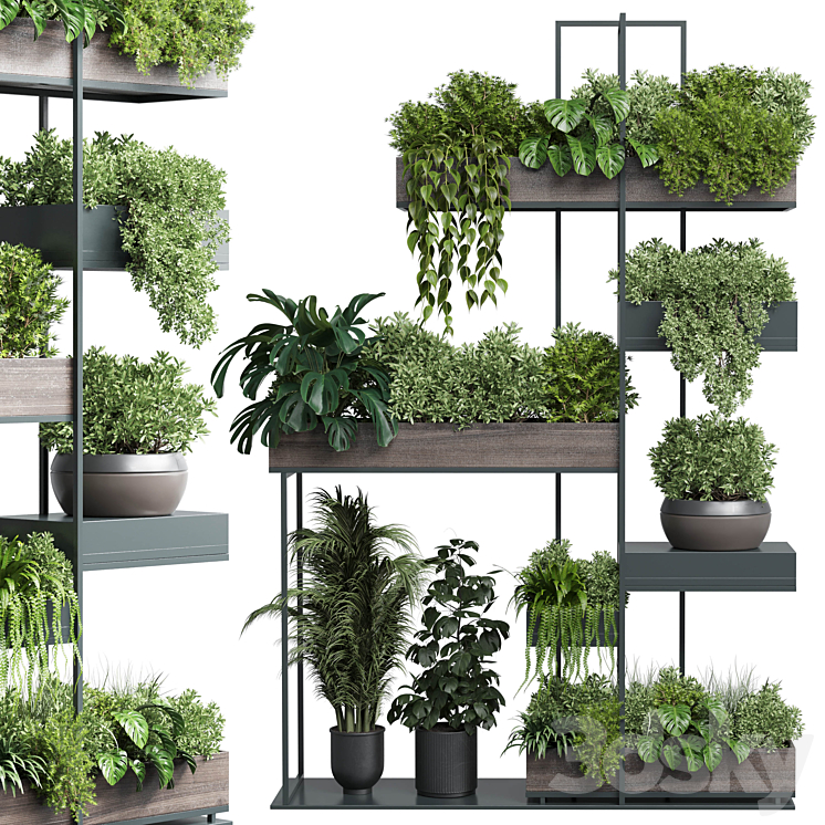 Standing metal shelf with a set of plants in wooden and metal boxes 267 3DS Max Model - thumbnail 2