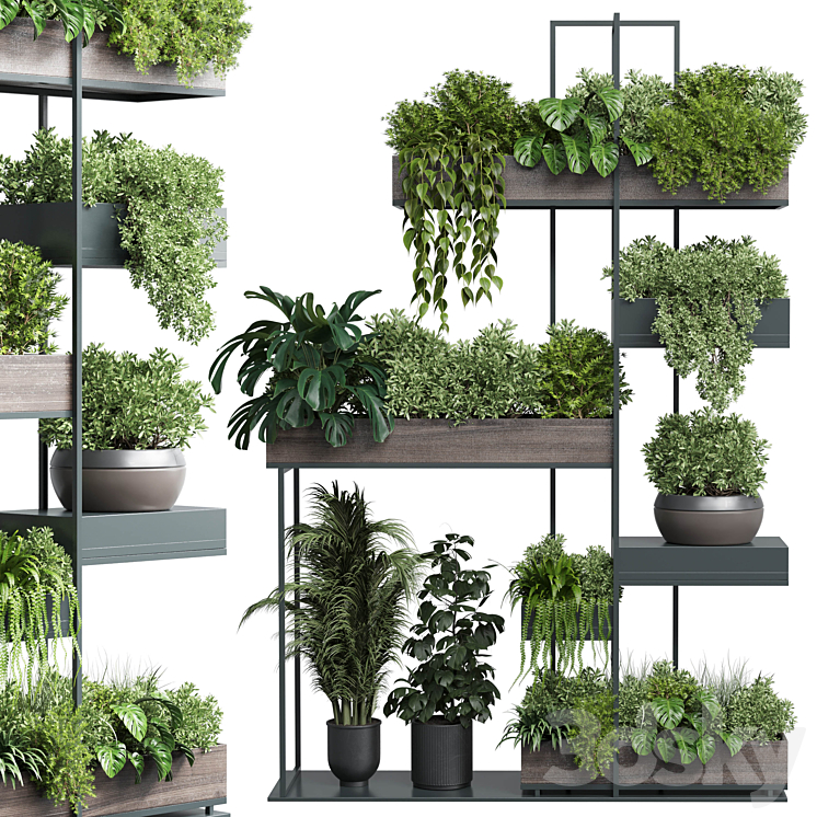 Standing metal shelf with a set of plants in wooden and metal boxes 267 3DS Max - thumbnail 2