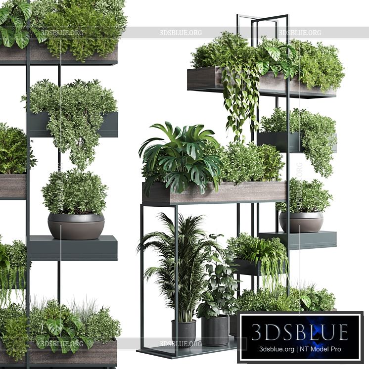 Standing metal shelf with a set of plants in wooden and metal boxes 267 3DS Max - thumbnail 3