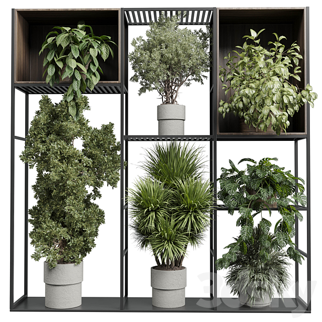 Standing metal shelf with a set of plants in wooden and metal boxes 419 3ds Max - thumbnail 1