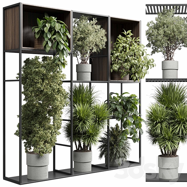 Standing metal shelf with a set of plants in wooden and metal boxes 419 3ds Max - thumbnail 2