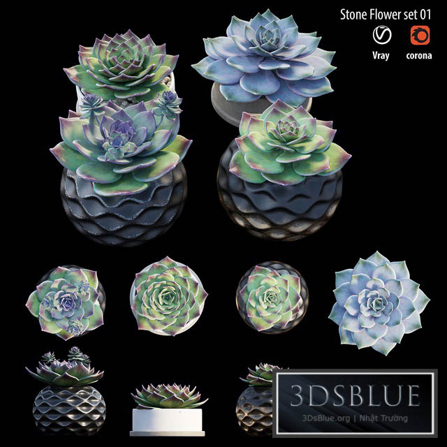 Stone flower set 01 3DS Max - thumbnail 3