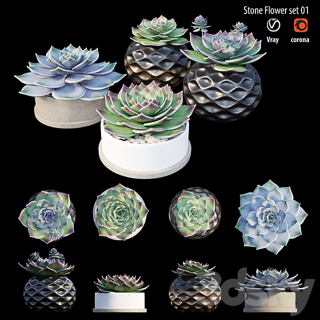 Stone flower set 01 3DSMax File - thumbnail 3