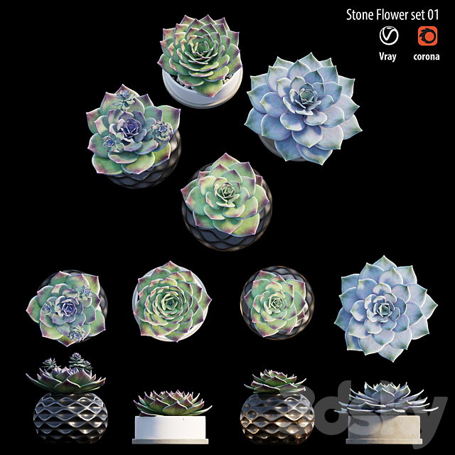 Stone flower set 01 3DSMax File - thumbnail 4