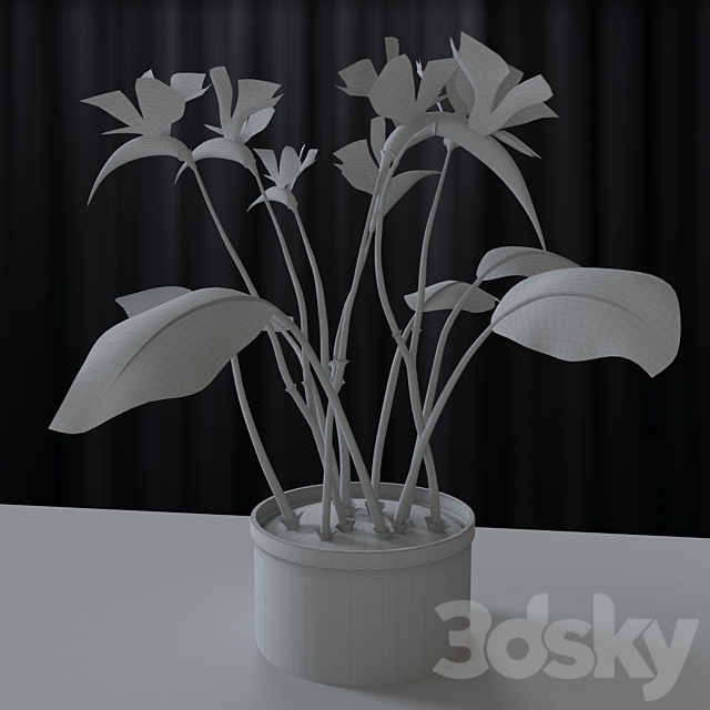 Strelitzia reginae 3DSMax File - thumbnail 2