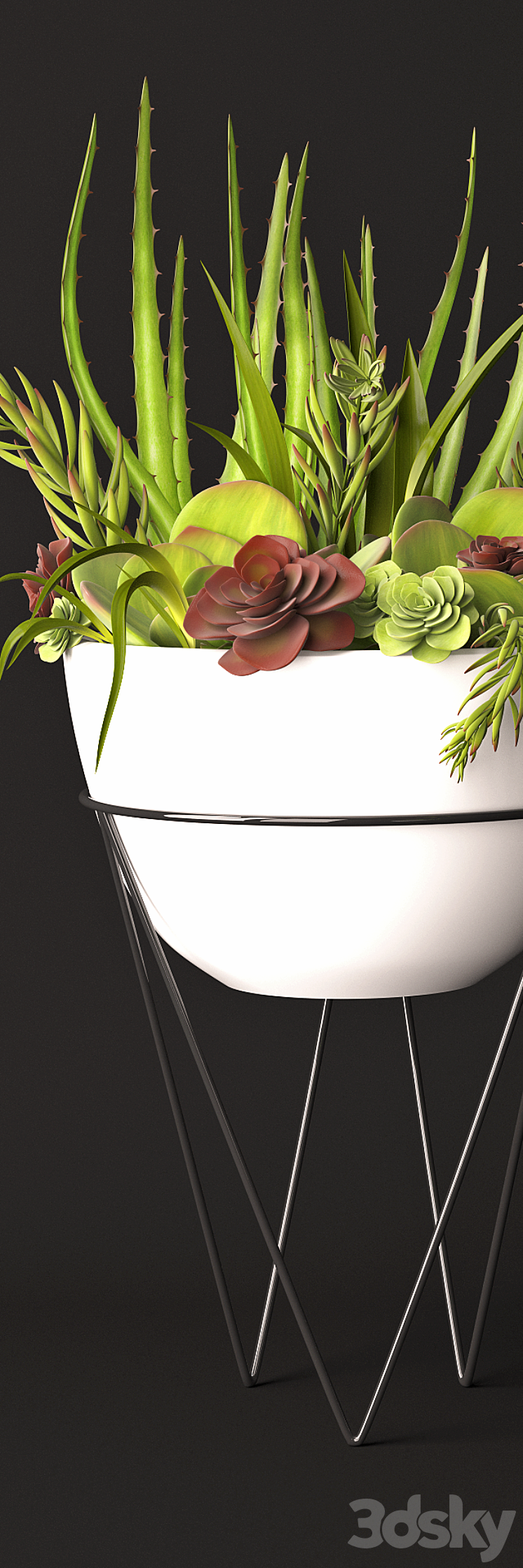 Succulent arrangement 3DS Max - thumbnail 2