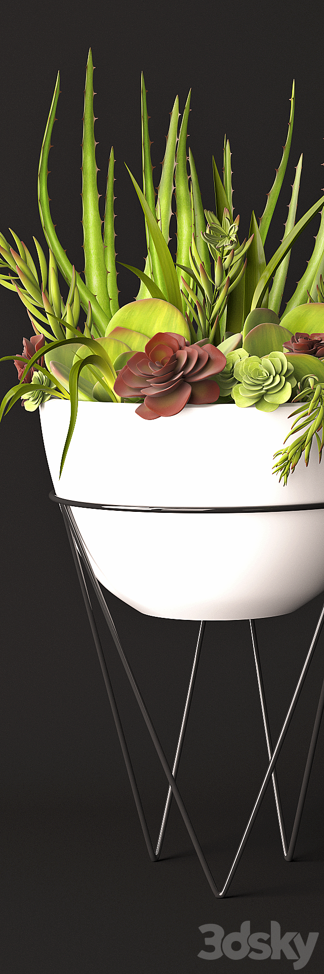 Succulent arrangement 3DSMax File - thumbnail 2