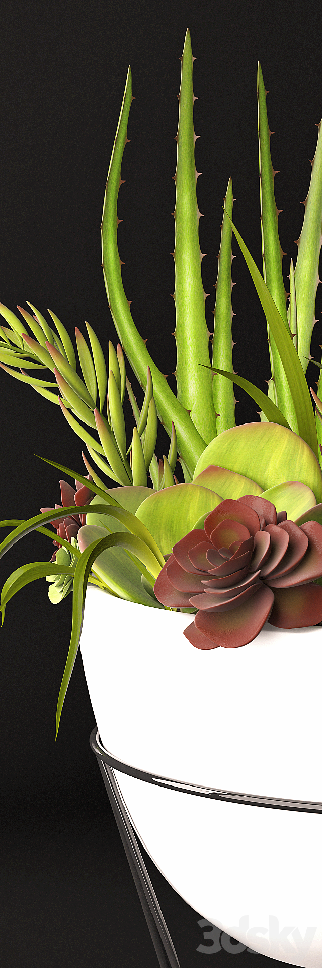 Succulent arrangement 3DSMax File - thumbnail 3