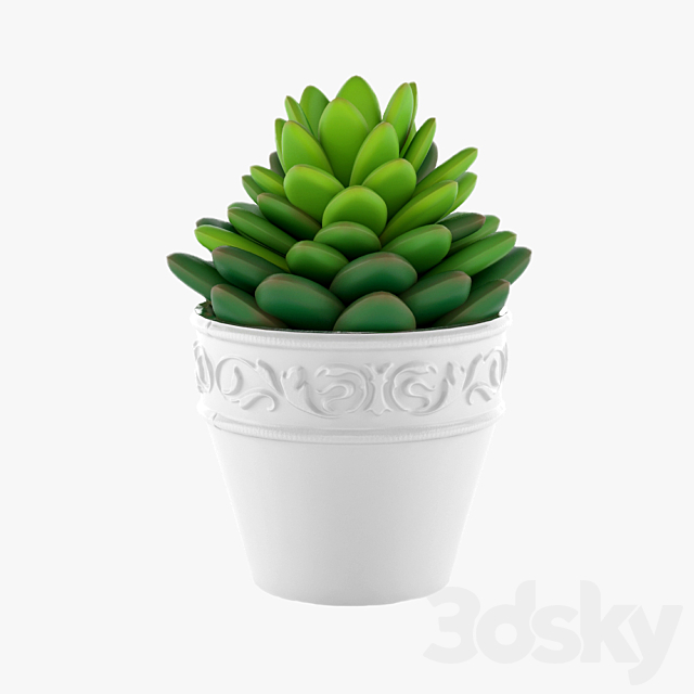 Succulents 09 3DS Max Model - thumbnail 2