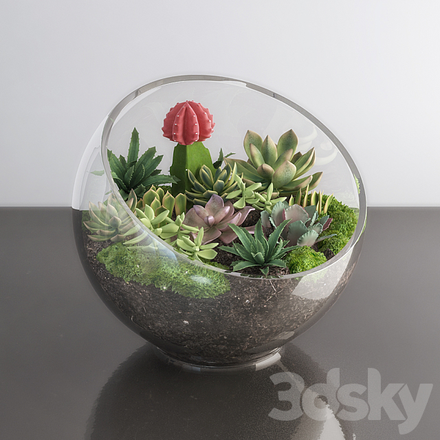 Succulents in glass bowl 3DSMax File - thumbnail 1